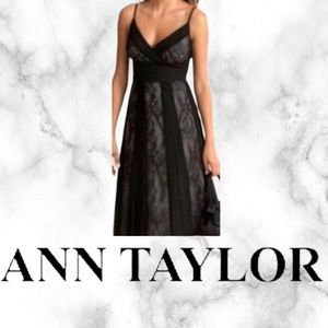 Ann Taylor LOFT Lace Strappy Fit & Flare V-Neck Dress